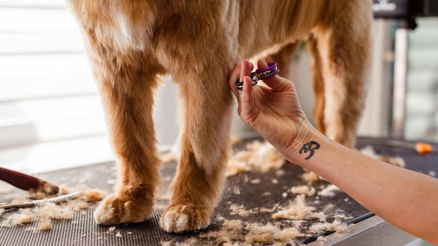 Pre-Groomed Extreme Creative