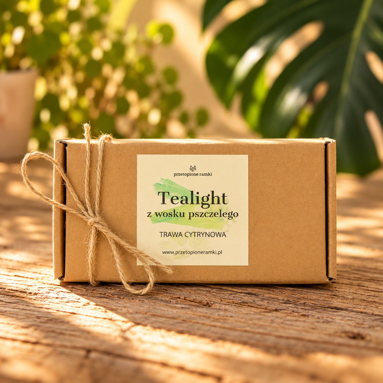 tealight - trawa cytrynowa - 10szt