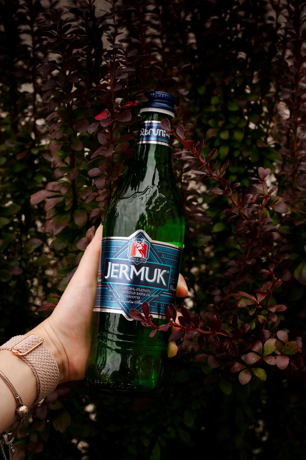 woda mineralna JERMUK 0.5L (szkło)