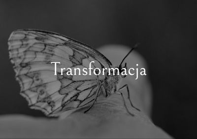 Transformacja, która zaczyna się od usłyszenia siebie