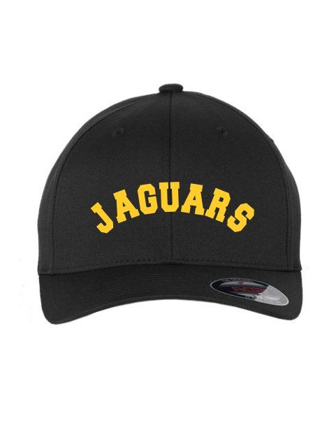 Jaguars FlexFit Hat (BLACK)