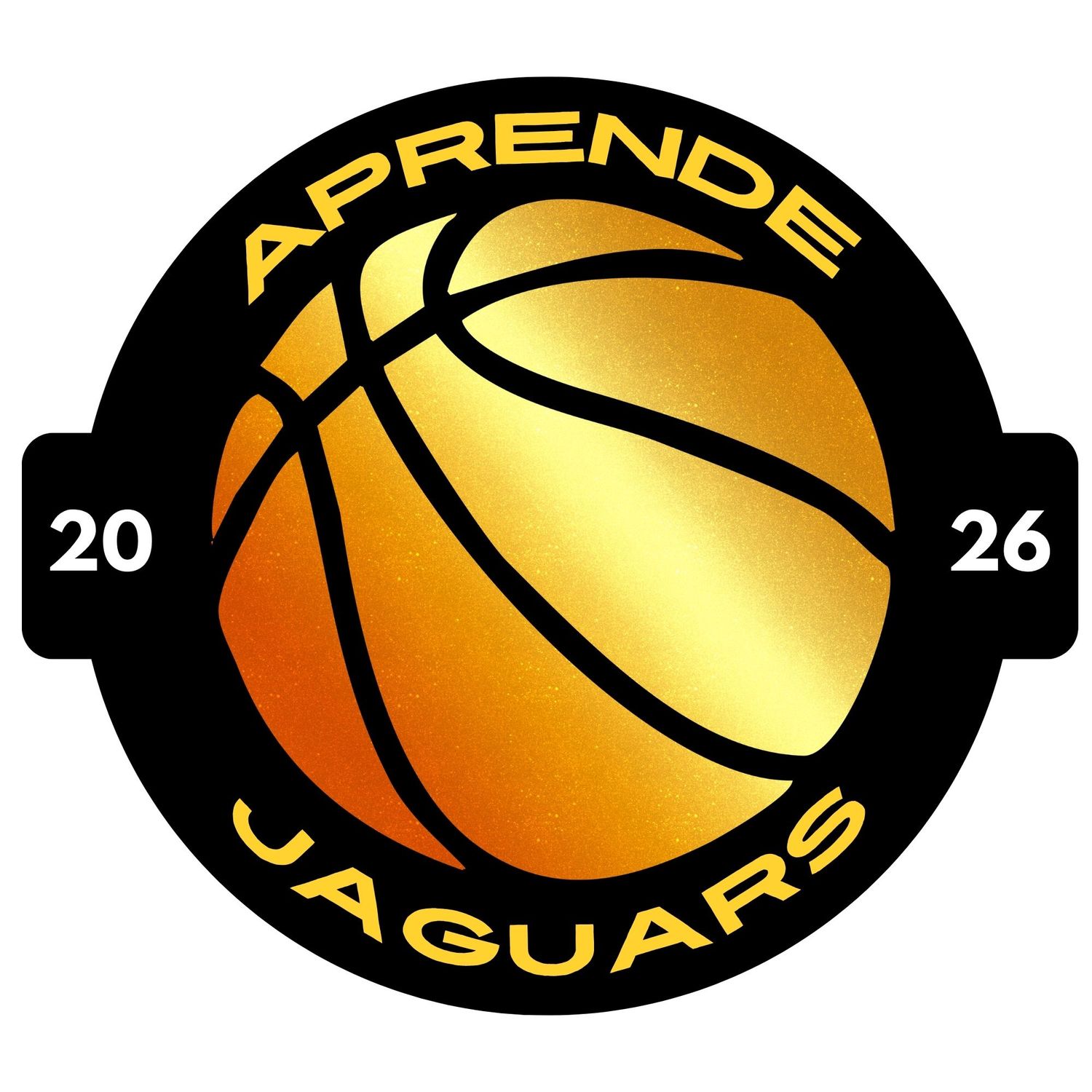 Q2 Boys Basketball Sticker