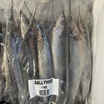1kg ballyhoo (piper)