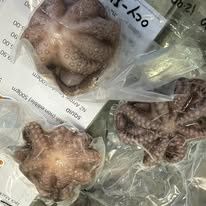 300-500g Octopus