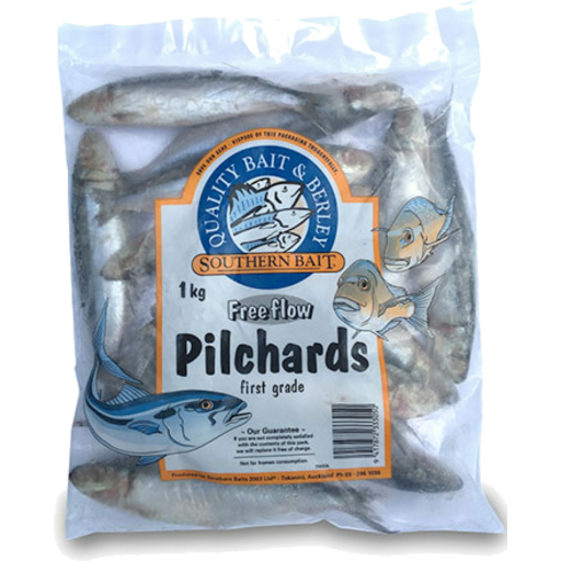 1kg pilchards sb