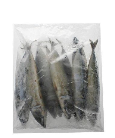 2kg baby blue mackerel