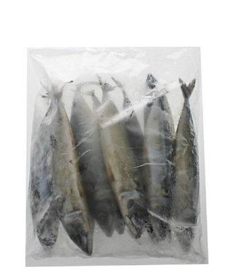 2kg baby blue mackerel