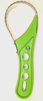 fish scaler SH