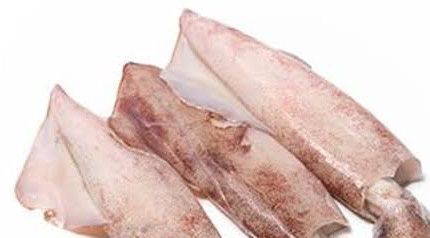 10 x 1kg  arrow squid