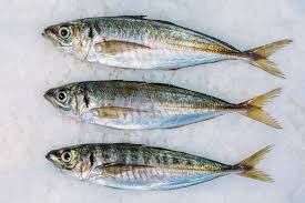1kg freeflow jack (horse) mackerel