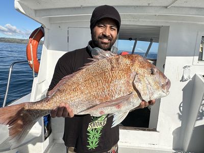 6 x snapper GPS marks - boat