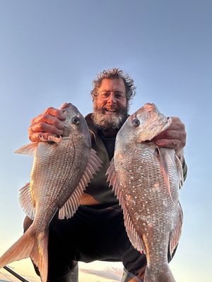 6 x surfcasting spots /maps / gps marks - snapper