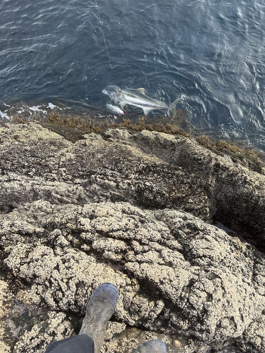 6 x rockfishing spots for kingfish and other species