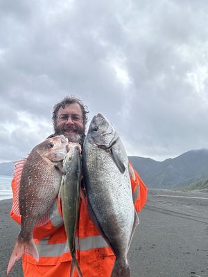 20 x surfcasting and rockfishing spots around wellington