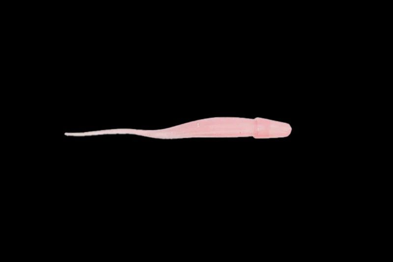 Mad eyes flick stick 3&quot; jelly prawn