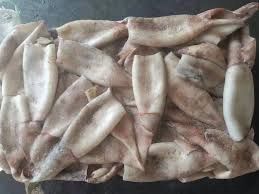 15kg freeflow  NZ Arrow Squid tubes