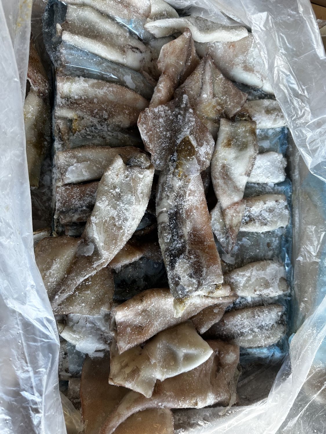 10kg freeflow nz arrow squid tubes