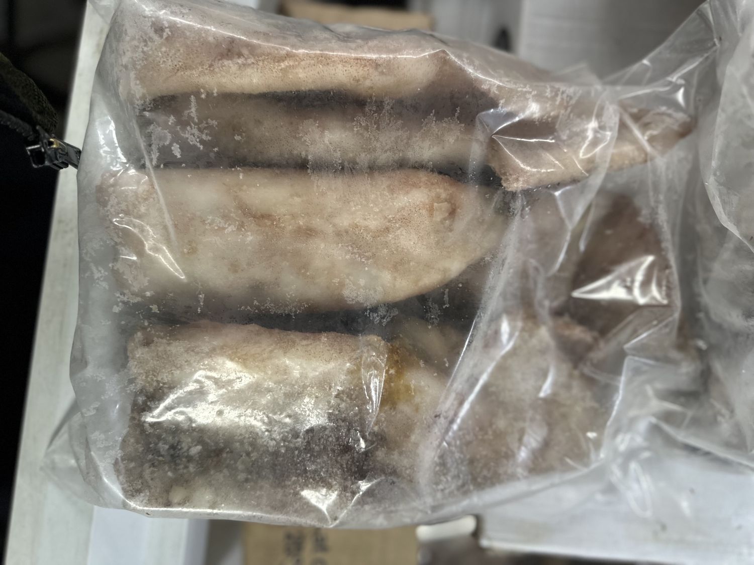 10kg freeflow nz arrow squid tubes