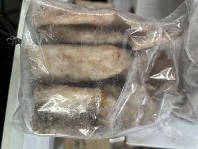 2kg freeflow nz arrow squid tubes