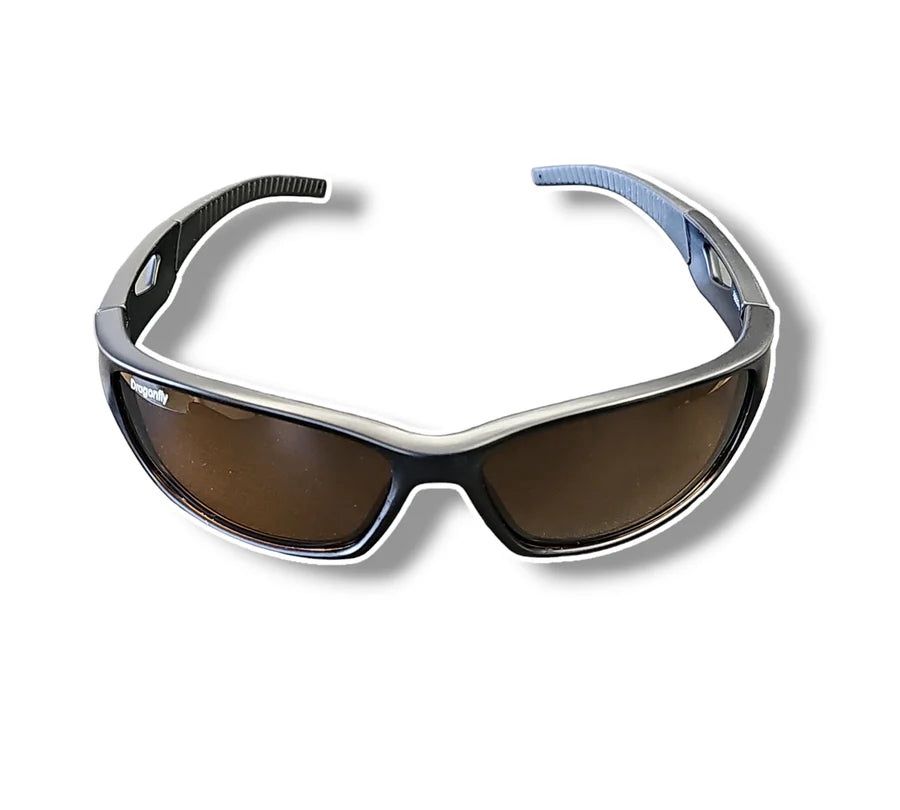 Dragonfly sunglasses