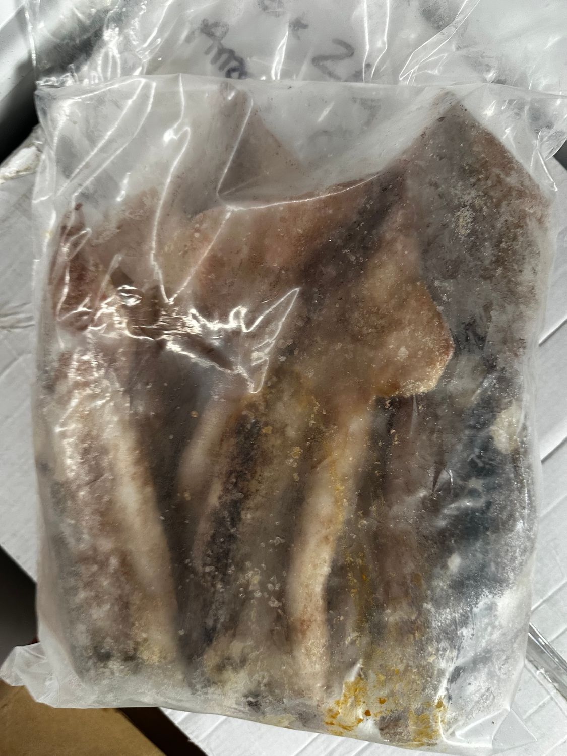 500gm NZ arrow squid