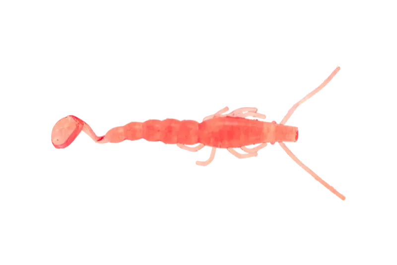 madeye 4" paddle prawn - jelly prawn (6)