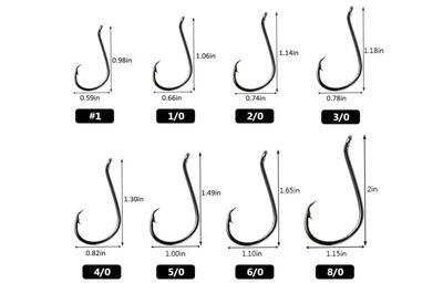 Beak circle 1/o 100pk
