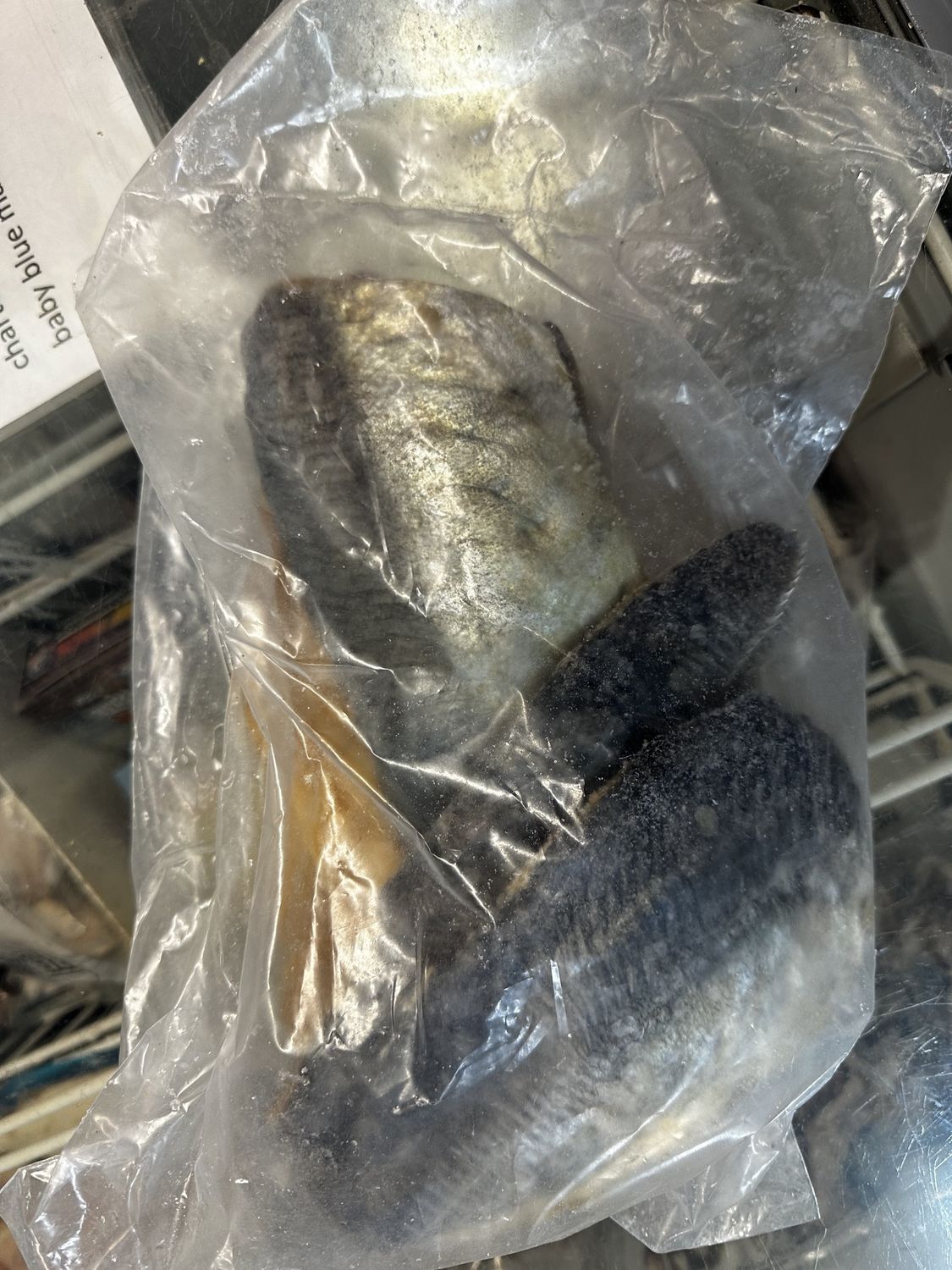 500g Salted Jack Mackerel fillets