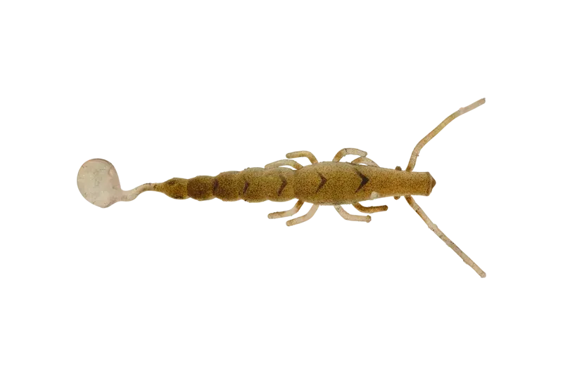 madeye 4" paddle prawn - raw prawn (6