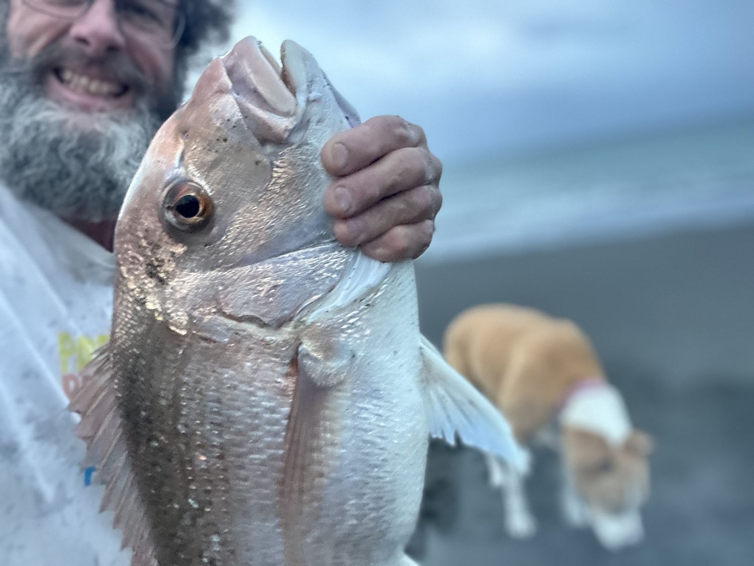 School holiday surfcasting special - 3hr trip at kapiti