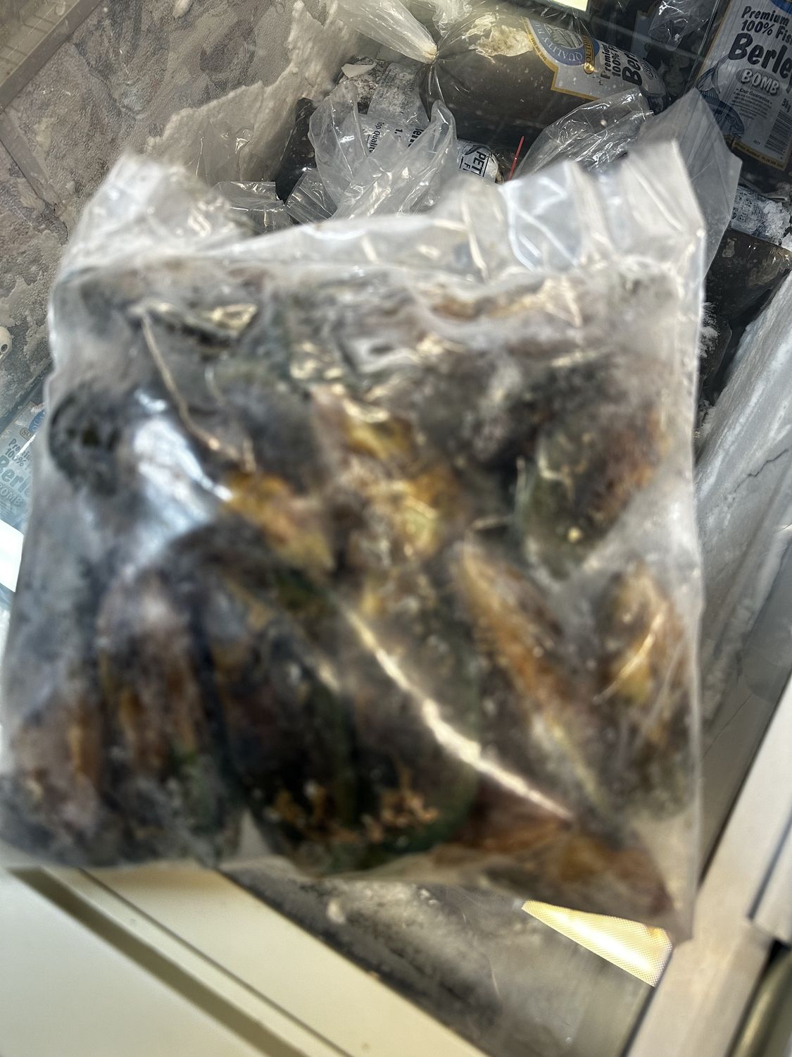 1kg whole mussels -1st grade