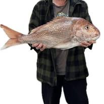 Winter midweek special - 6hr surfcasting trip for one person