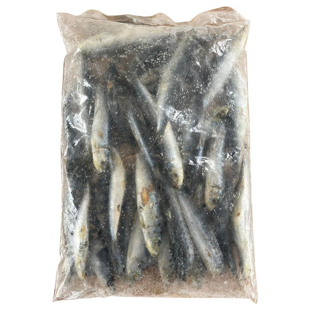 1kg Salted pilchards