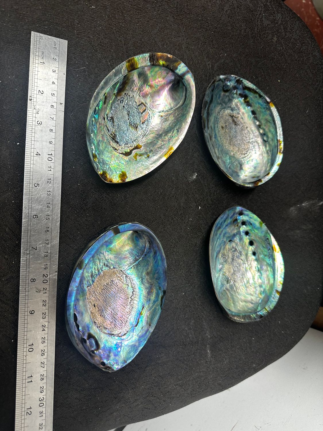 1 x Polished NZ paua shell - 4.5 to 5inch