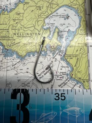 12/O mustad Ezibaiter (40000 xf-dt) forged hook x 100