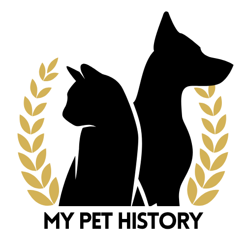 Carte cadeau