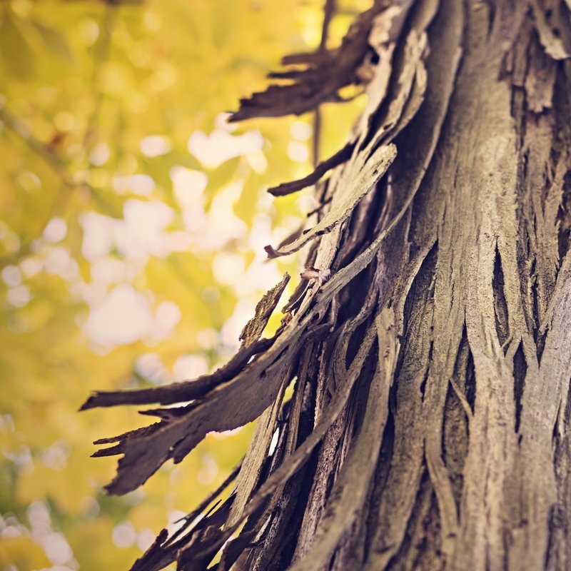 Understanding Your Past Biblically