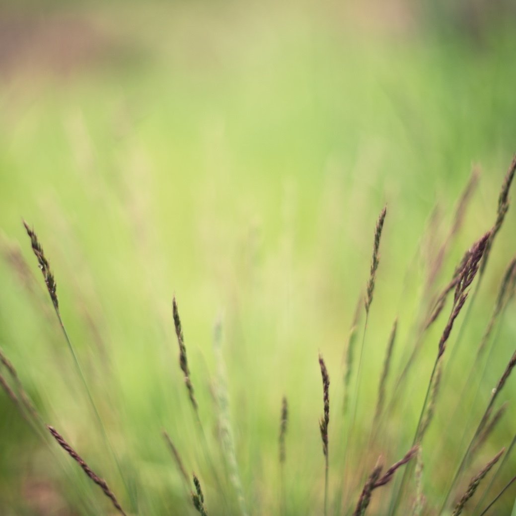 The Deceitfulness of the Heart