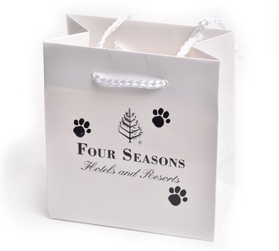 Four Seasons Branded Gift Bags (50PK)