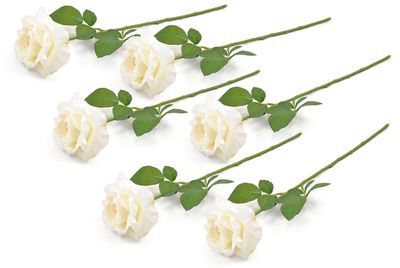 FLOWER OPEN ROSE CREAM S/6