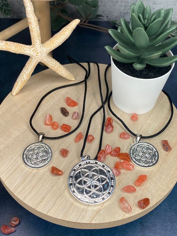 Biofield Resonator Pendant™ Silver Necklace Small