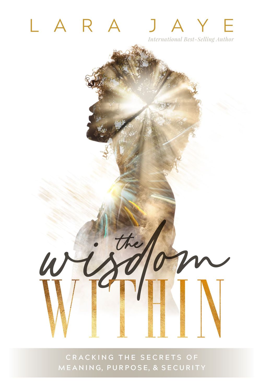 The Wisdom Within: Cracking the Secrets of Meaning, Purpose, &amp; Security Audiobook Version