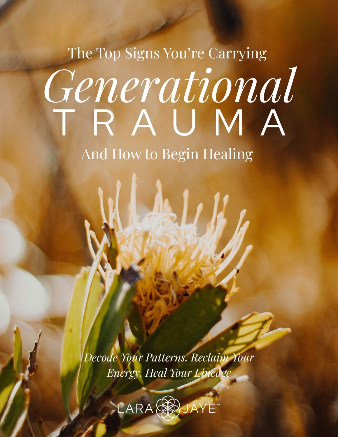 Signs You’re Carrying Generational Trauma eBook