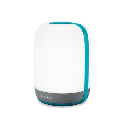 Lantern w/Charging Port - BioLite or similar