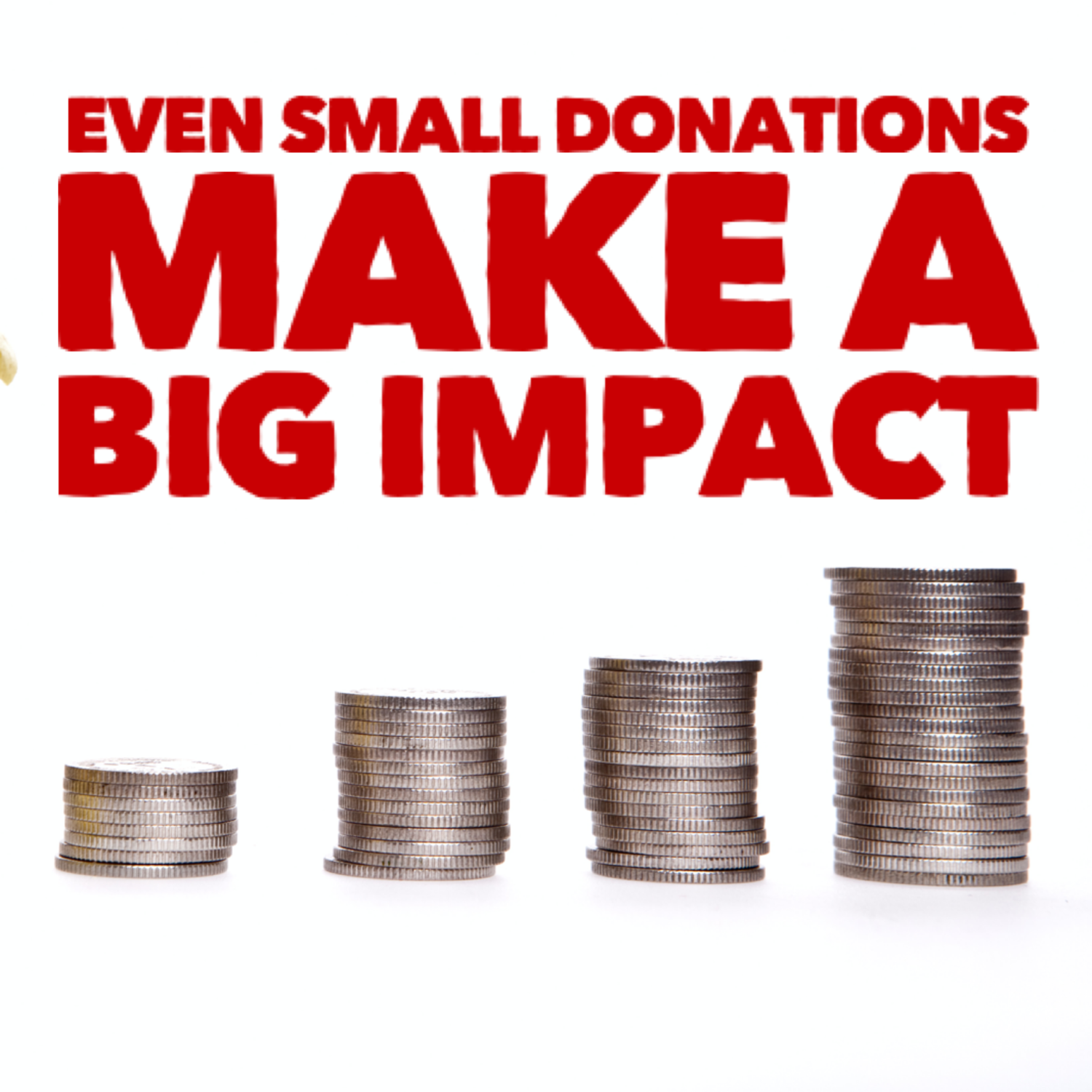 Donate -Choose the Amount - General Fund Donate -Choose the Amount - General Fund