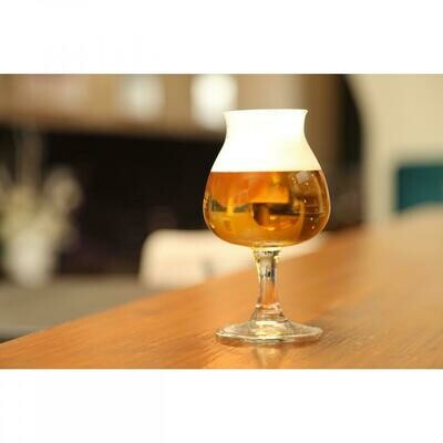 AnDer 1.0 - het ideale bier-proef-glas
