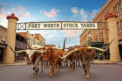 Texas