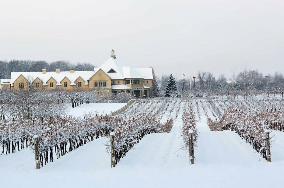 Glenfiddich Winterstorm - Batch 2 - 43% Glenfiddich Winterstorm - Batch 2 - 43%