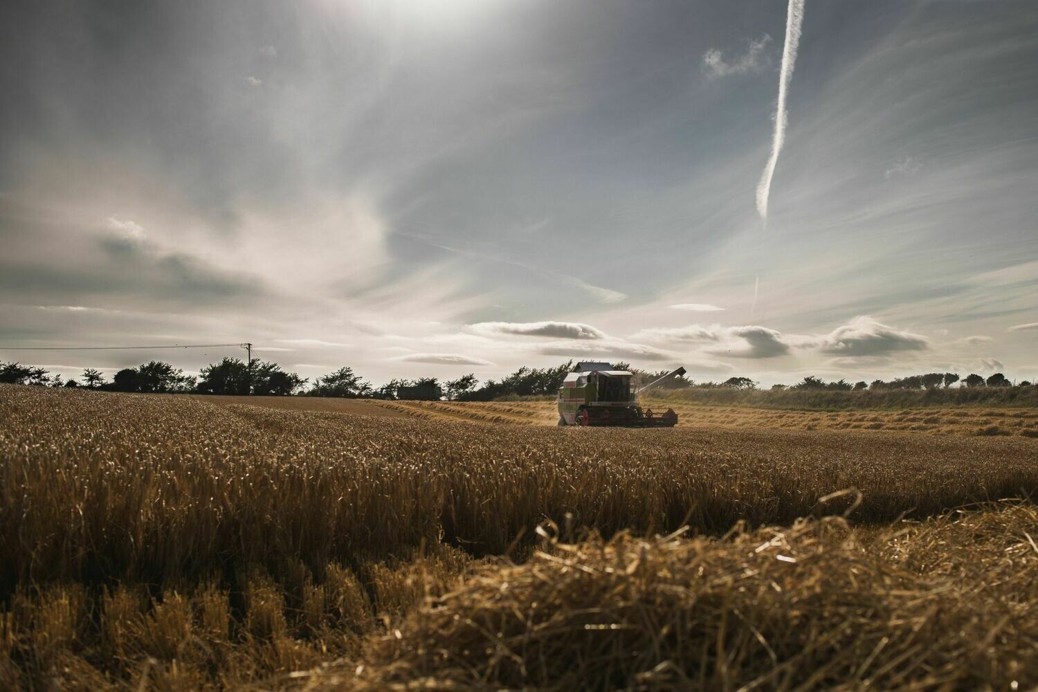 Waterford Lakefield 1.1 - Single Malt - Single Farm - 50% Waterford Lakefield 1.1 - Single Malt - Single Farm - 50%