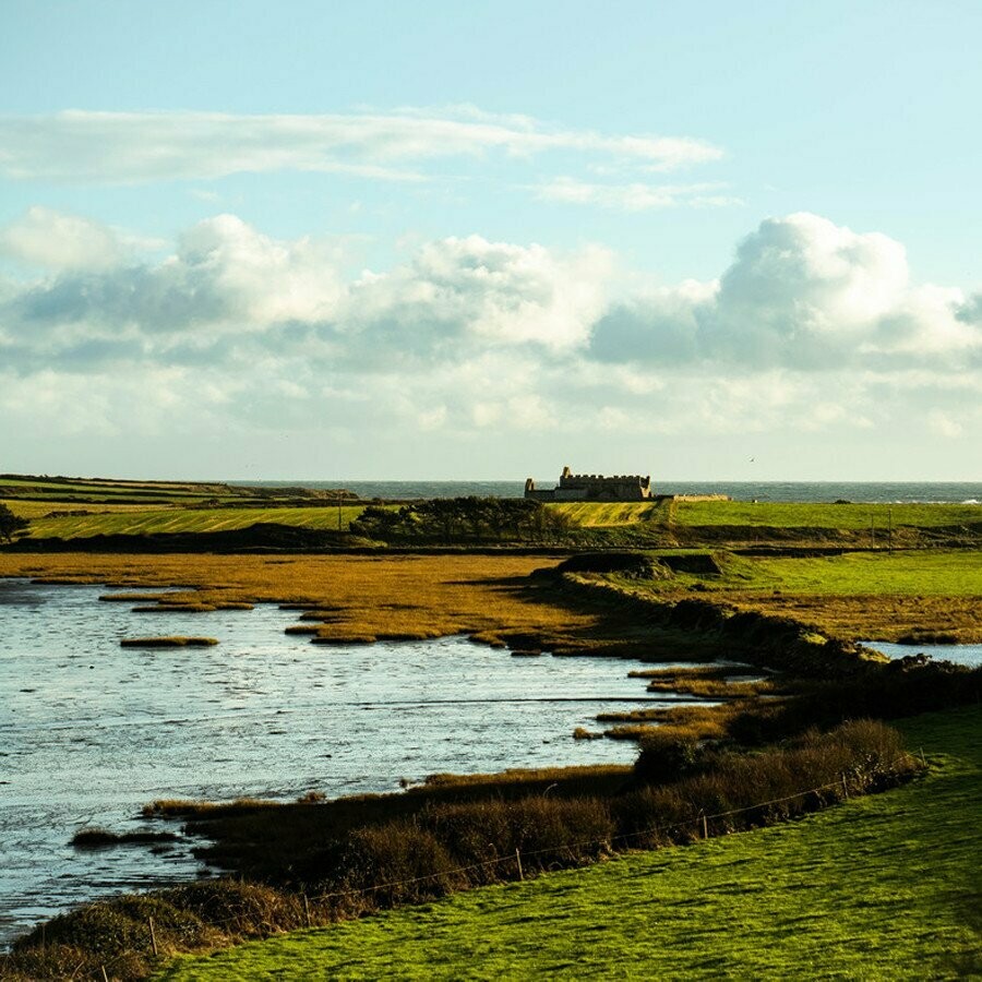 Waterford Sheestown 1.2 - Single Malt - Single Farm - 50%